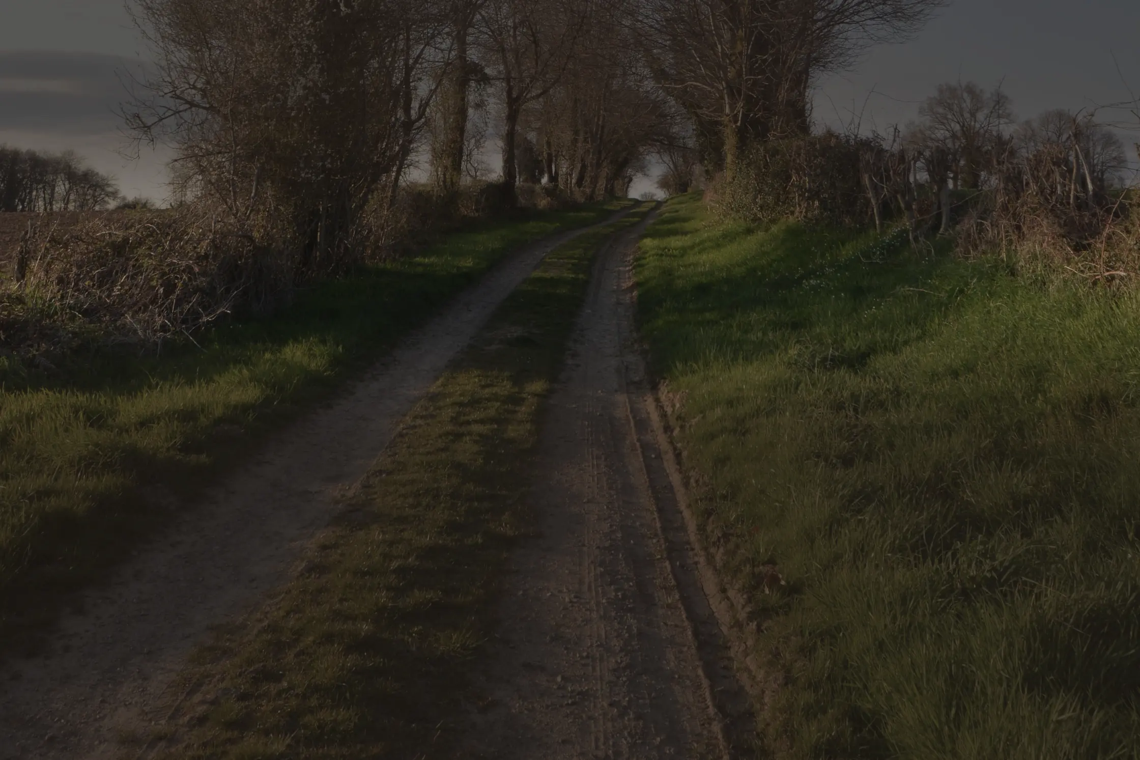Un chemin de terre à deux ornières qui monte entre des haies vives, sous des arbres encore nus.